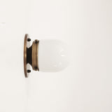 One-Light Opal Mini Shade Wall or Ceiling Light