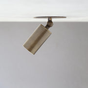 One-Light Small Adjustable Brass Spotlight Flush Mount