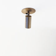 One-Light Small Adjustable Brass Spotlight Flush Mount