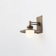 One-Light Swing-Arm Wall Sconce with Brass Coolie Shade