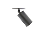 One-Light Swivel Cylinder Ceiling Spotlight