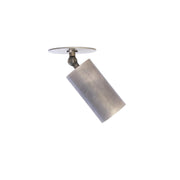 One-Light Swivel Cylinder Ceiling Spotlight