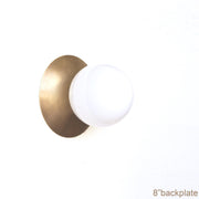 Opal Globe Flush Mount Ceiling Light