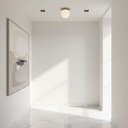 Opal Globe Flush Mount Ceiling Light