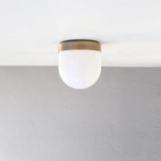 Opal Globe Flush Mount Ceiling Light