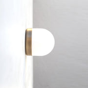 Opal Globe Flush Mount Ceiling Light