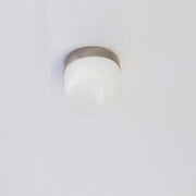 Opal Globe Flush Mount Ceiling Light
