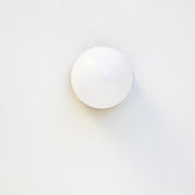 Opal Globe Flush Mount Ceiling Light