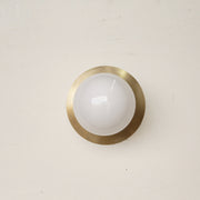 Opal Globe Flush Mount Ceiling Light