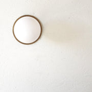 Opal Globe Flush Mount Ceiling Light