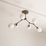 Six-Light Branching Brass Chandelier with Opal Glass Shades
