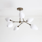 Six-Light Brass Branch Chandelier