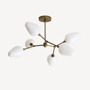 Six-Light Brass Branch Chandelier