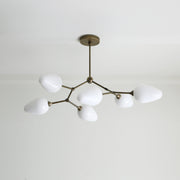 Six-Light Brass Branch Chandelier with Opal Teardrop Shades