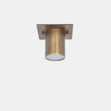 Square Backplate Brass Ceiling Spotlight