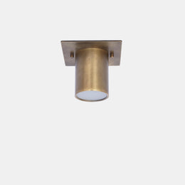 Square Backplate Brass Ceiling Spotlight