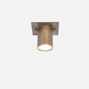 Square Backplate Brass Ceiling Spotlight