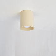 Steel Cylinder Ceiling Downlight