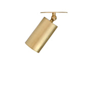 Swivel Cylinder Ceiling Spotlight