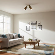 Swivel Cylinder Ceiling Spotlight