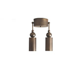 Two-Light Adjustable Brass Cylinder Ceiling Spotlight