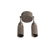 Two-Light Adjustable Brass Cylinder Ceiling Spotlight