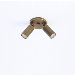 Two-Light Adjustable Brass Spotlight Ceiling Fixture, 2-Inch Shades