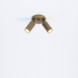 Two-Light Adjustable Brass Spotlight Ceiling Fixture, 2-Inch Shades