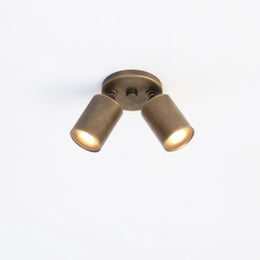 Two-Light Adjustable Brass Spotlight Ceiling Fixture