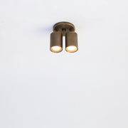 Two-Light Adjustable Brass Spotlight Ceiling Fixture