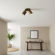 Two-Light Adjustable Brass Spotlight Ceiling Fixture