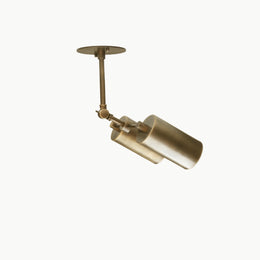 Two-Light Adjustable Cylinder Ceiling Spotlight