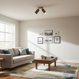 Two-Light Swivel Cylinder Ceiling Spotlight