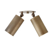 Two-Light Swivel Cylinder Ceiling Spotlight