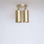 Two-Light Swivel Cylinder Ceiling Spotlight
