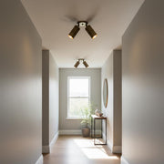 Two-Light Swivel Cylinder Ceiling Spotlight