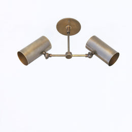 Two-Light Wide-Spread Cylinder Ceiling Spotlight