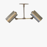 Two-Light Wide-Spread Cylinder Ceiling Spotlight