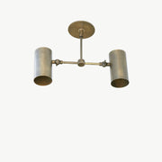 Two-Light Wide-Spread Cylinder Ceiling Spotlight