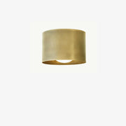 Vintage Brass Ceiling Spotlight, Simple Milky Glass Shade